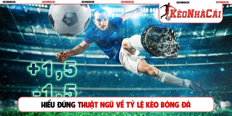 Hiểu đúng thuật ngữ về tỷ lệ kèo bóng đá