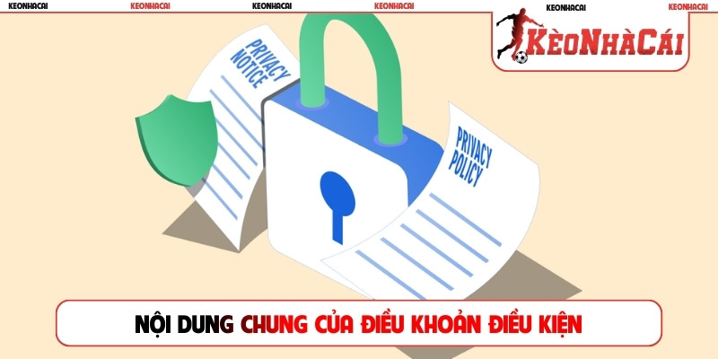Nội dung chung của điều khoản điều kiện
